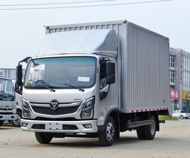 Light Duty Cargo Truck